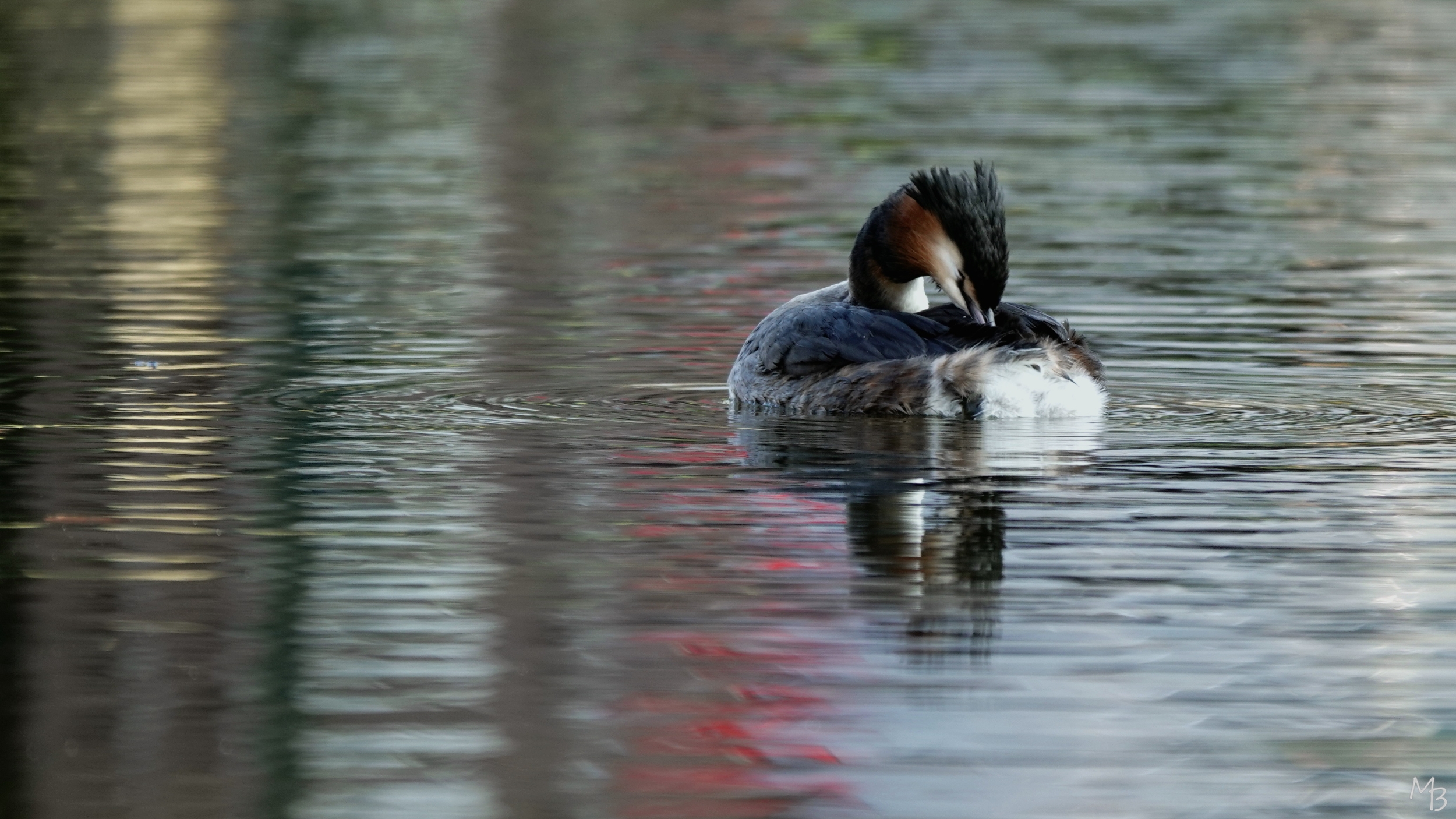 Marian Buurman - nog meer fuut - 